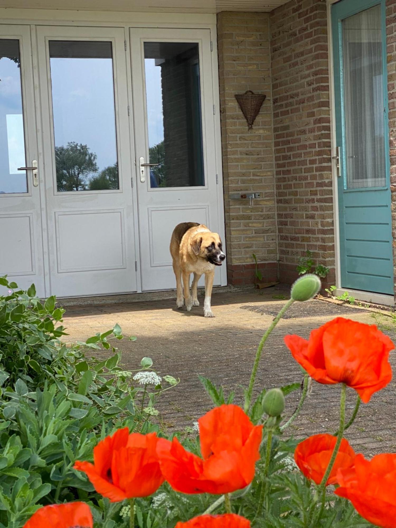 Tussen De Meren Gaastmeer Exterior foto